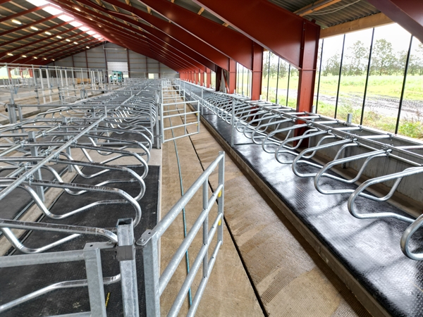 Liegeboxenbügel montiert auf Frontrohr 