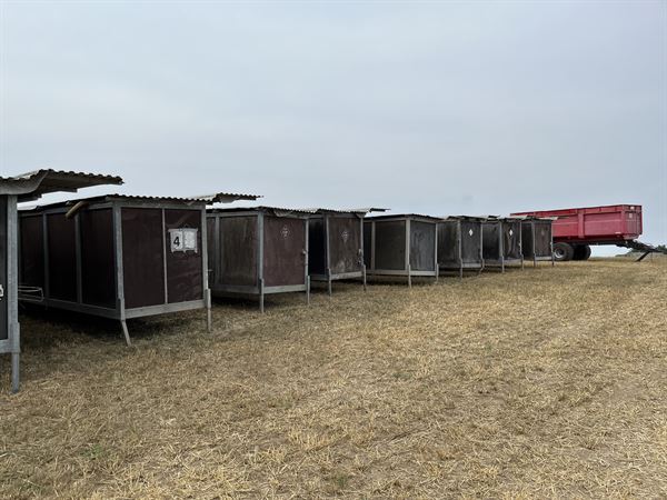 Gebrauchte CN-Agro Kälberwagen, 6-Box