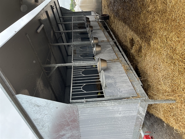 6 Stück gebr. Kälberwagen