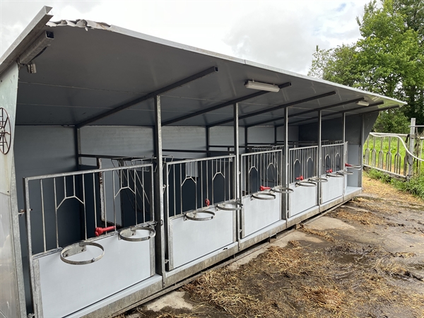 6 Stück gebr. Kälberwagen