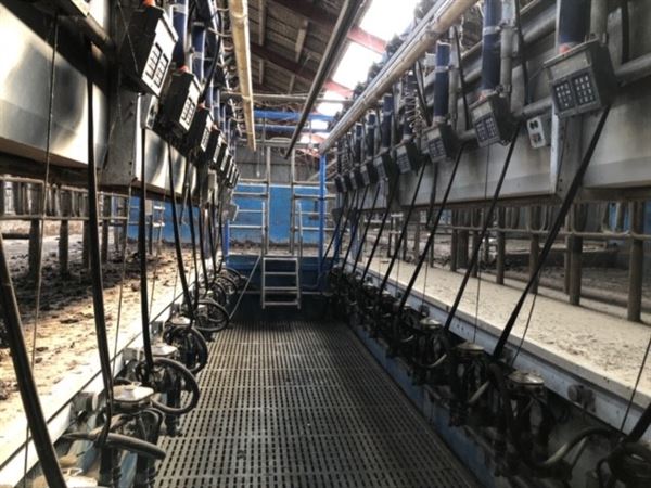 Brugt 2 x 12 DeLaval malkestald, SBS